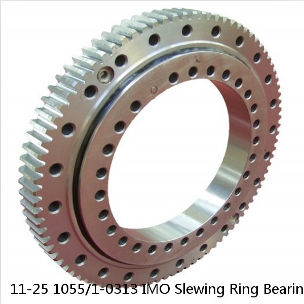 11-25 1055/1-0313 IMO Slewing Ring Bearings