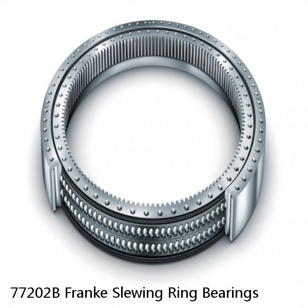 77202B Franke Slewing Ring Bearings