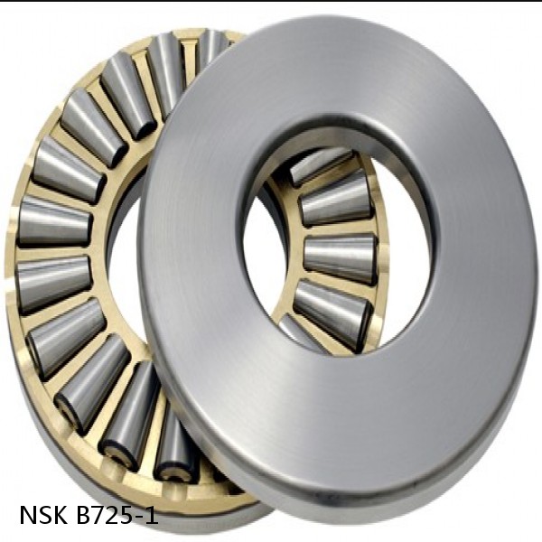 B725-1 NSK Angular contact ball bearing