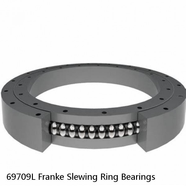 69709L Franke Slewing Ring Bearings