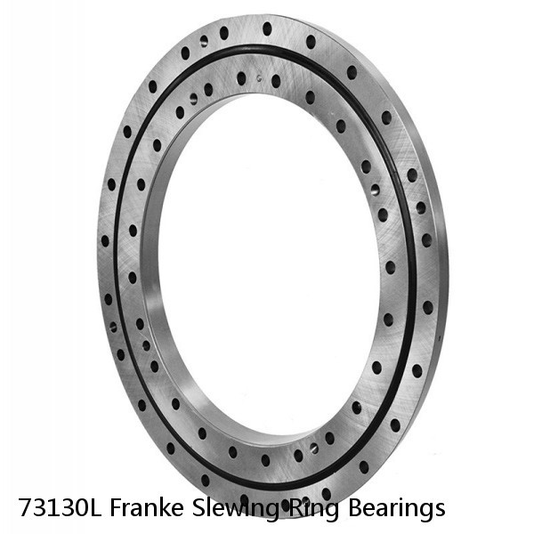 73130L Franke Slewing Ring Bearings