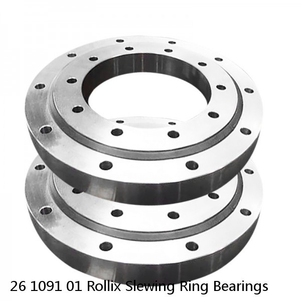 26 1091 01 Rollix Slewing Ring Bearings