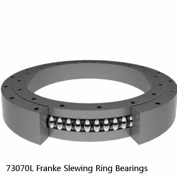 73070L Franke Slewing Ring Bearings