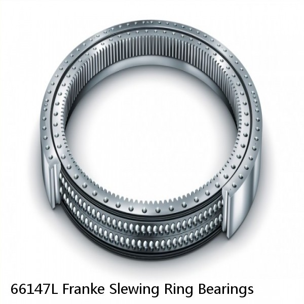 66147L Franke Slewing Ring Bearings