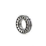 0.939 Inch | 23.851 Millimeter x 2.441 Inch | 62.001 Millimeter x 0.625 Inch | 15.875 Millimeter  NNF5007-2LSNVY Bearing