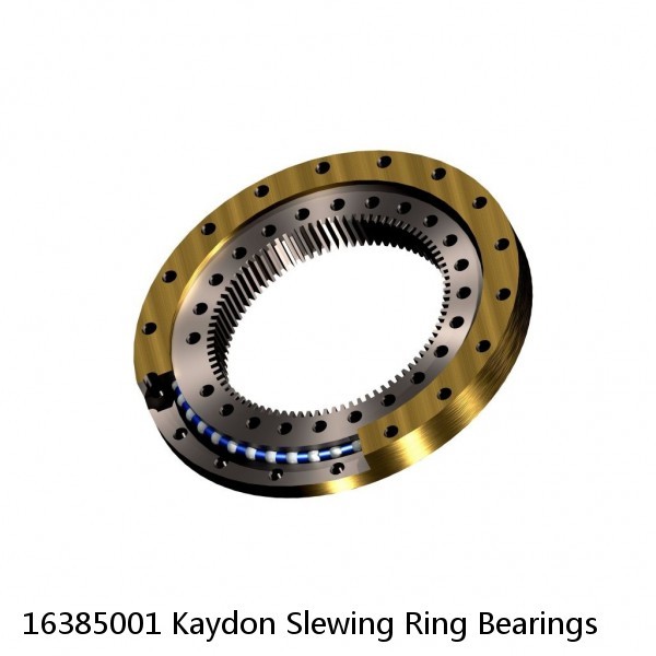 16385001 Kaydon Slewing Ring Bearings