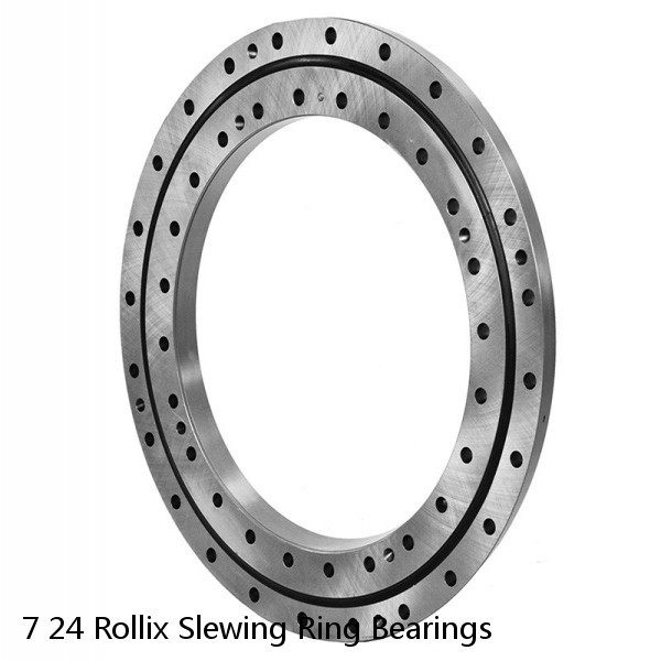 7 24 Rollix Slewing Ring Bearings