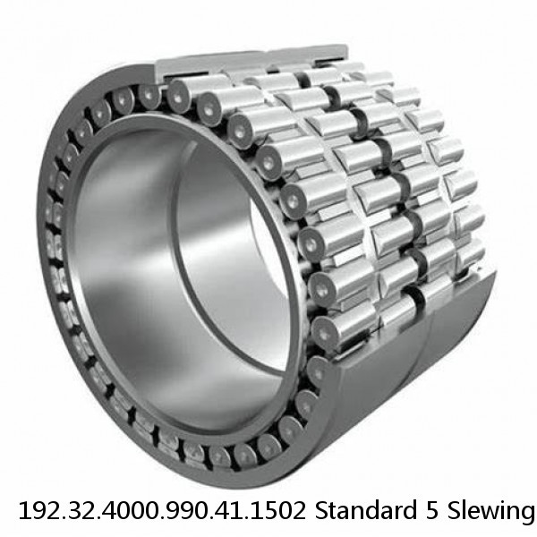 192.32.4000.990.41.1502 Standard 5 Slewing Ring Bearings