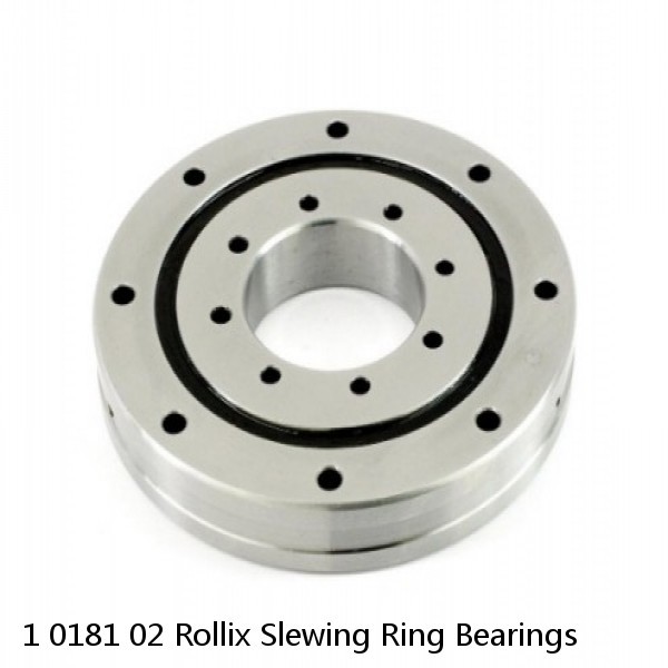 1 0181 02 Rollix Slewing Ring Bearings