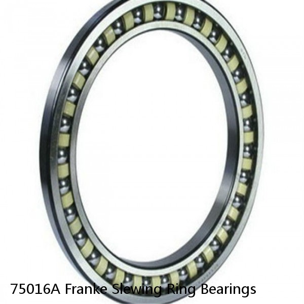 75016A Franke Slewing Ring Bearings