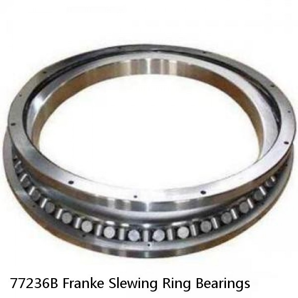 77236B Franke Slewing Ring Bearings